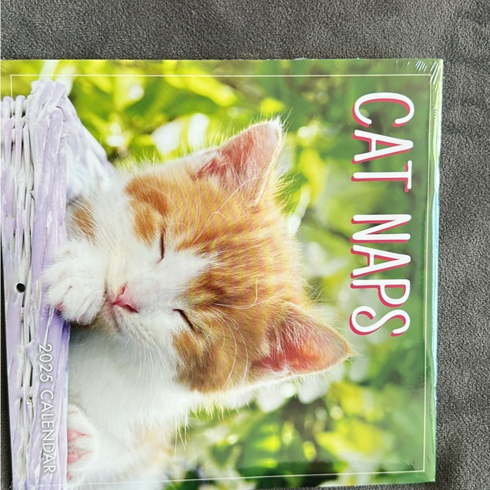 Cat Naps 2025 Calendar